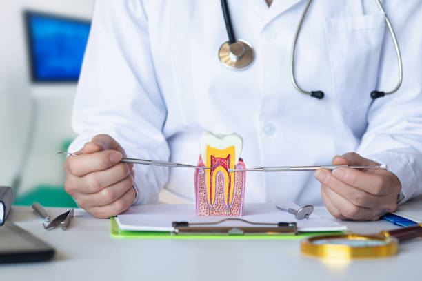 Best Emergency Dental Services for Seniors in Barnesville, GA